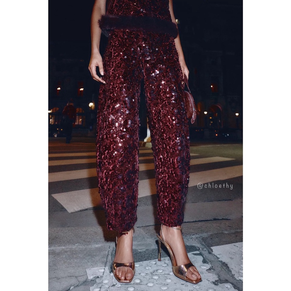 Zara Burgundy Sequin Pants